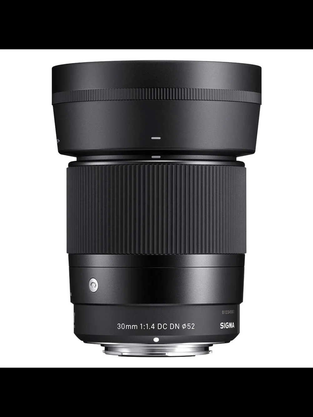 Sony Black Mirrorless Camera Body (Black)